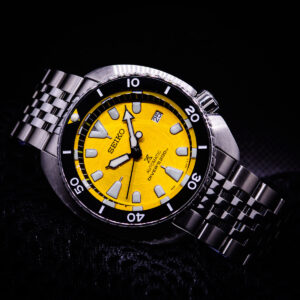 Blacksmith S Bee Turtle