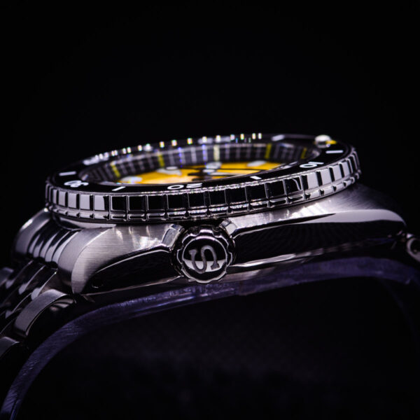 Blacksmith S Bee Turtle