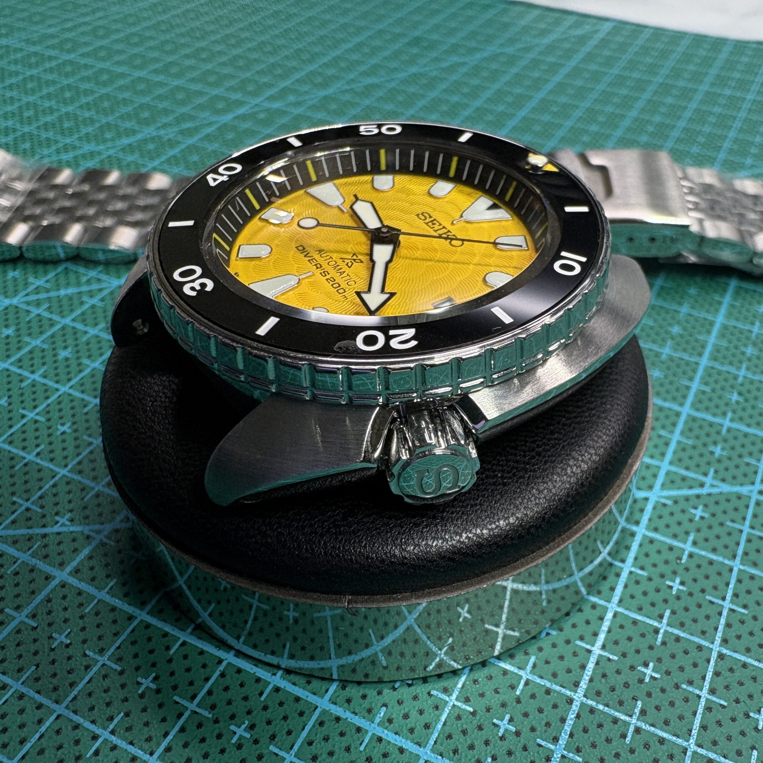 Blacksmith Bee Turtle V2