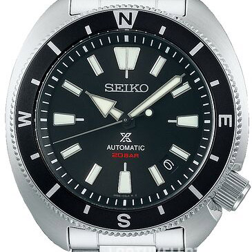 Land Tortoise SRPH17