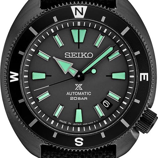 Land Tortoise SRPH99